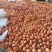水蜜桃绿化九市场精品连锁商超供应产地一手货源