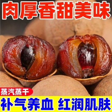 桂圆干龙眼干核小肉厚福建桂圆干桂圆肉泰国桂圆厂家可代发