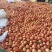 水蜜桃绿化九市场精品连锁商超供应产地一手货源
