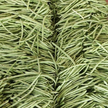 小金豆大量上市