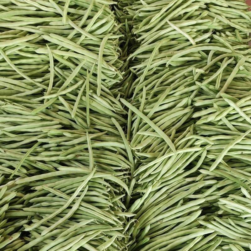 小金豆大量上市