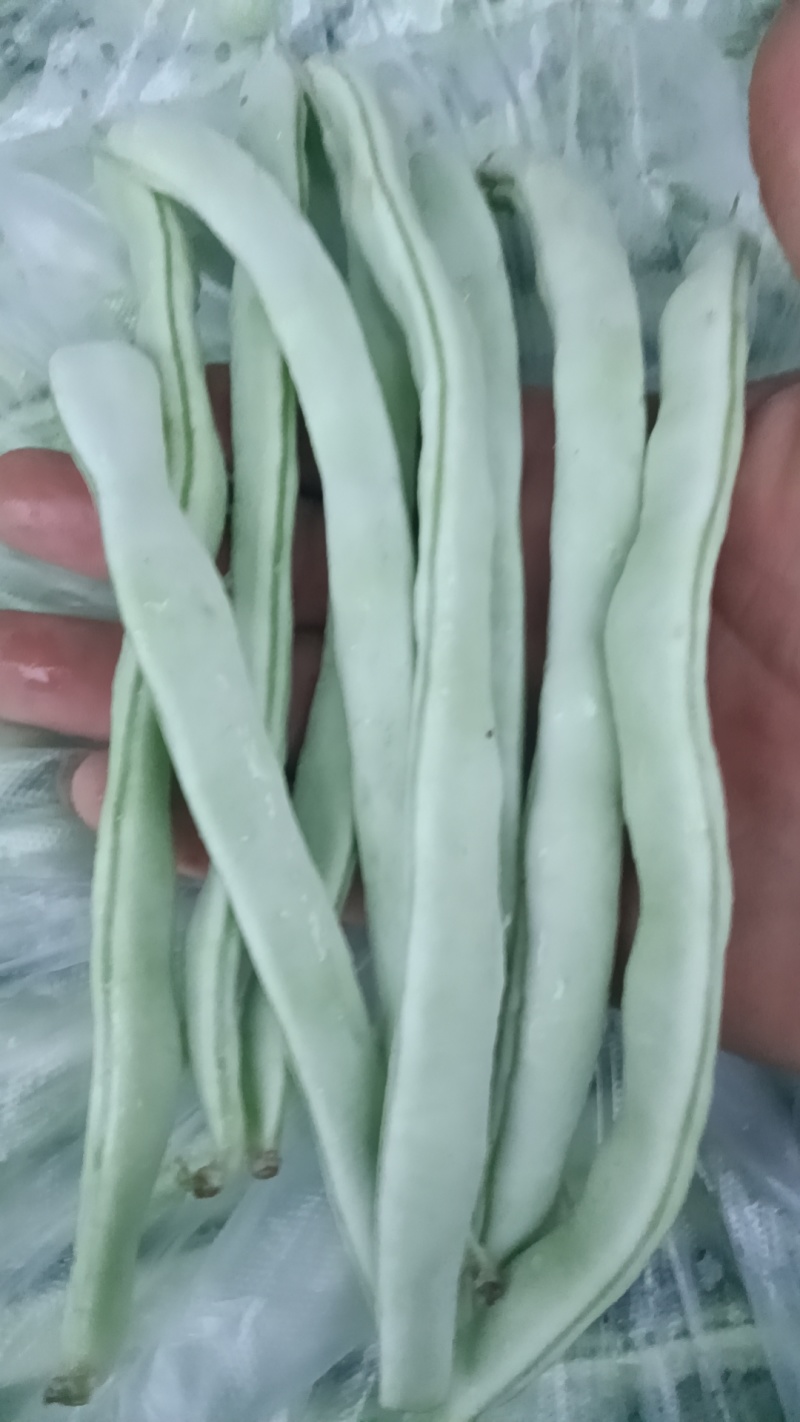 白条豆角