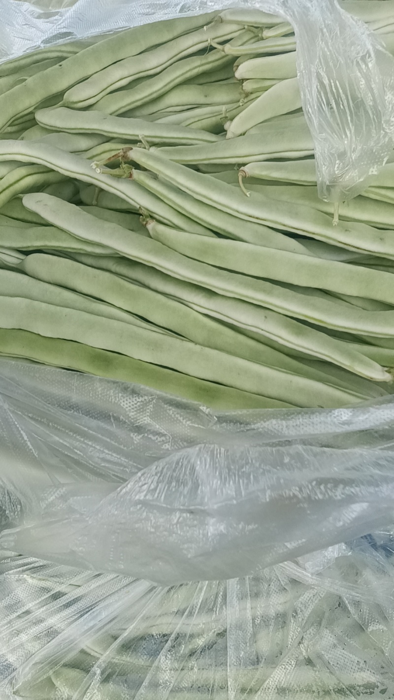 白条豆角