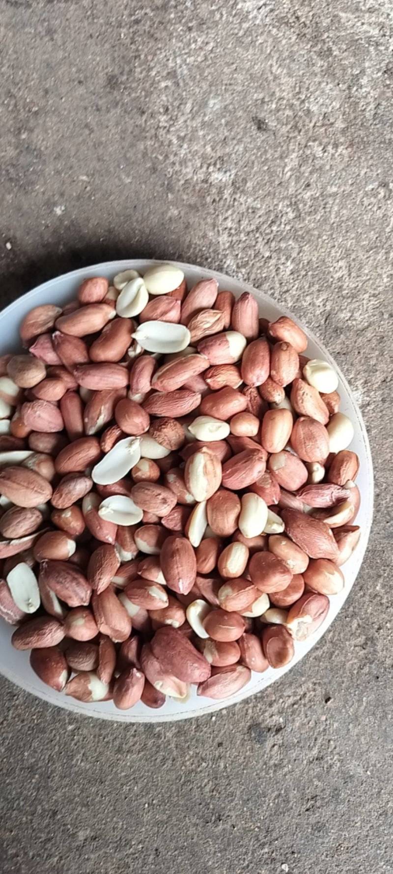 【精品】榨油米花生米合作社自产自销量大价优各种规格欢迎来