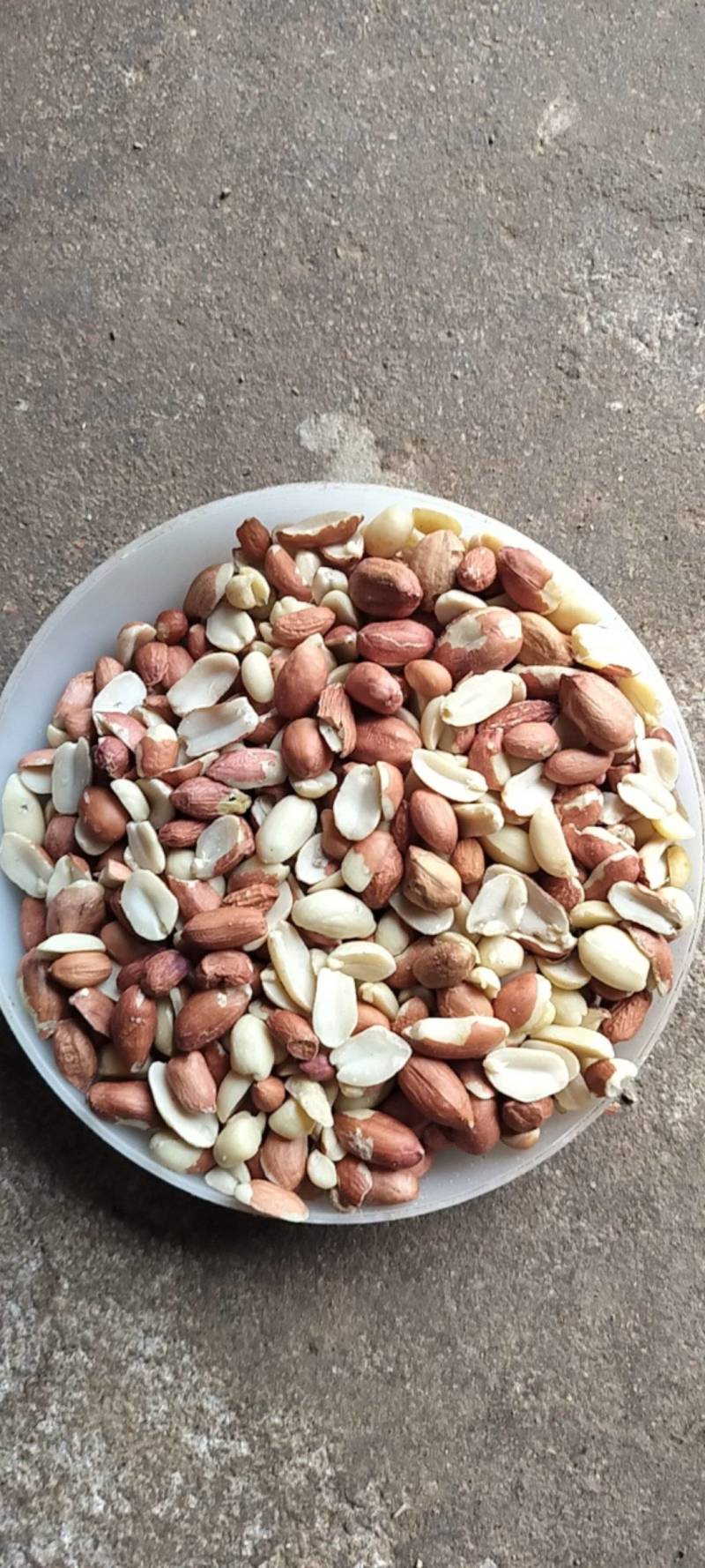 【精品】榨油米花生米合作社自产自销量大价优各种规格欢迎来