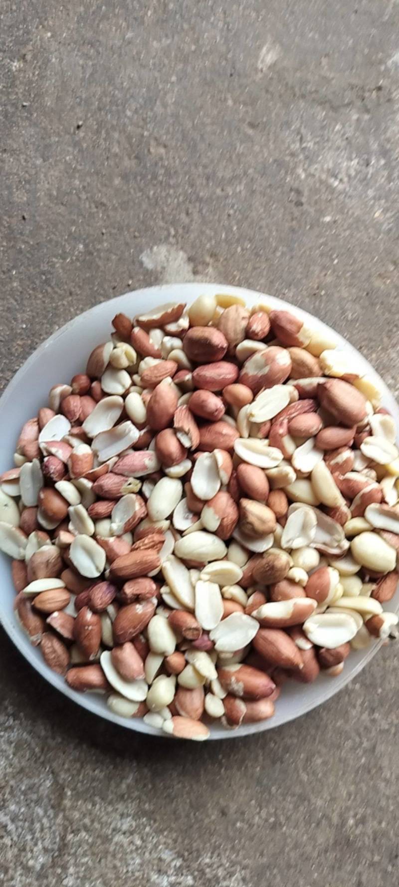 【精品】榨油米花生米合作社自产自销量大价优各种规格欢迎来