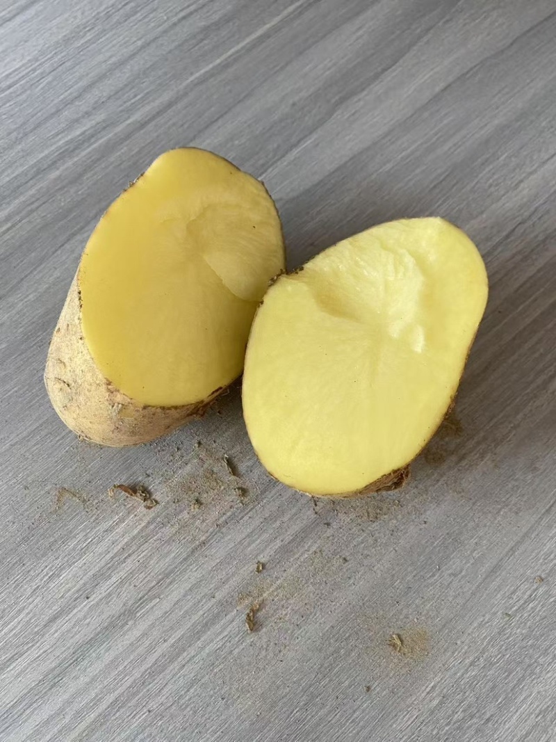 甘肃品质黄心土豆，自然香甜，淀粉丰富，欢迎选购