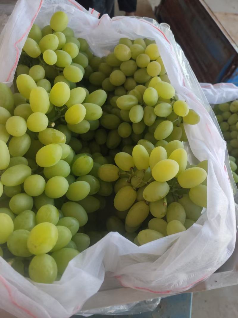 张家口维多利亚涿鹿县维多利亚怀来维多利亚