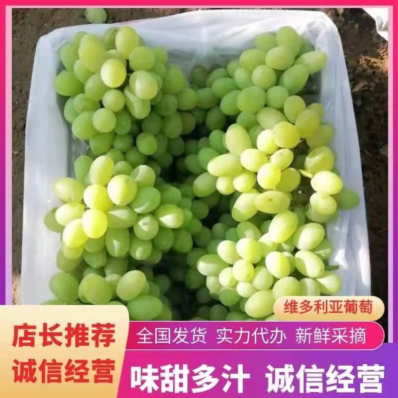 张家口维多利亚涿鹿县维多利亚怀来维多利亚