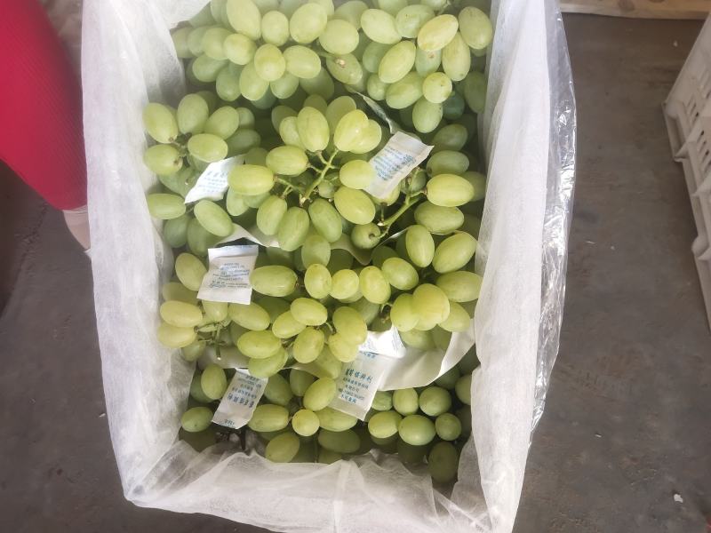 张家口维多利亚涿鹿县维多利亚怀来维多利亚