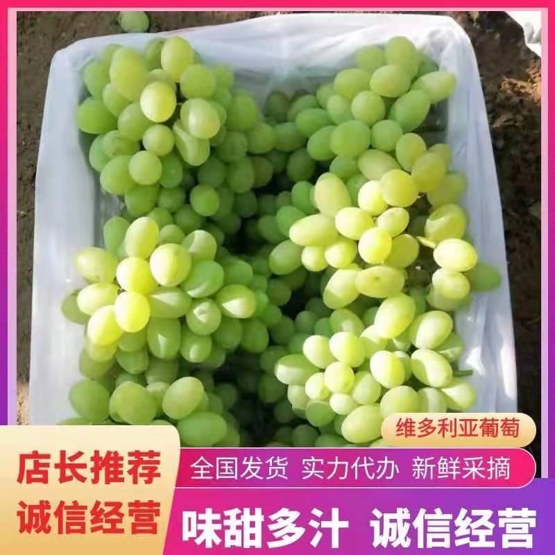 张家口维多利亚涿鹿县维多利亚怀来维多利亚