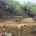 土蜂蜜农产品，波密度42以上，通过国家机构检测及格，高山