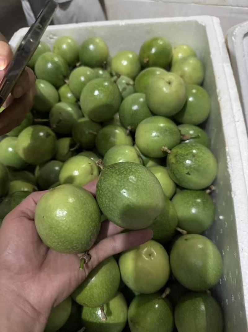 精品钦蜜9号百香果产地发货一手货源批发品质保证价格优惠