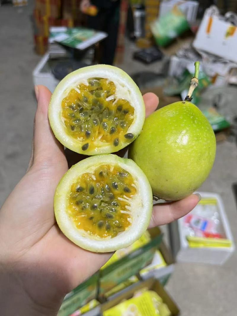 精品钦蜜9号百香果产地发货一手货源批发品质保证价格优惠