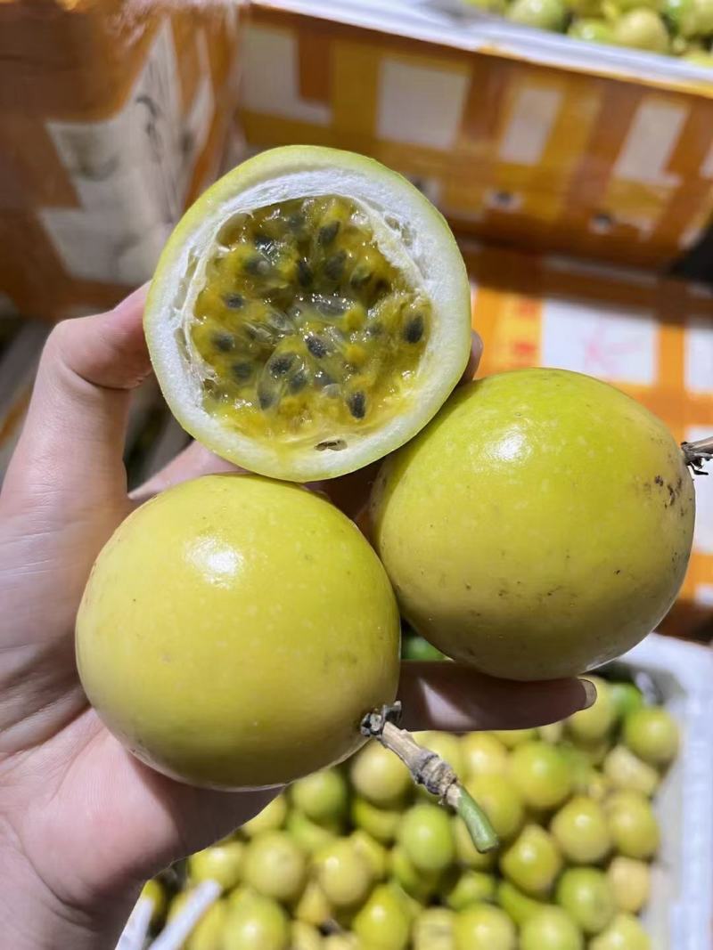 精品钦蜜9号百香果产地发货一手货源批发品质保证价格优惠