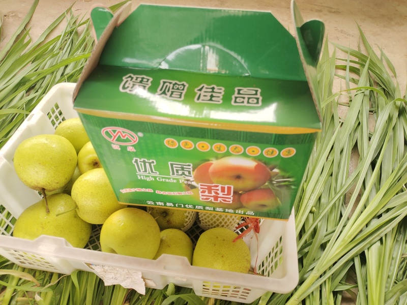 优质雪花梨上市