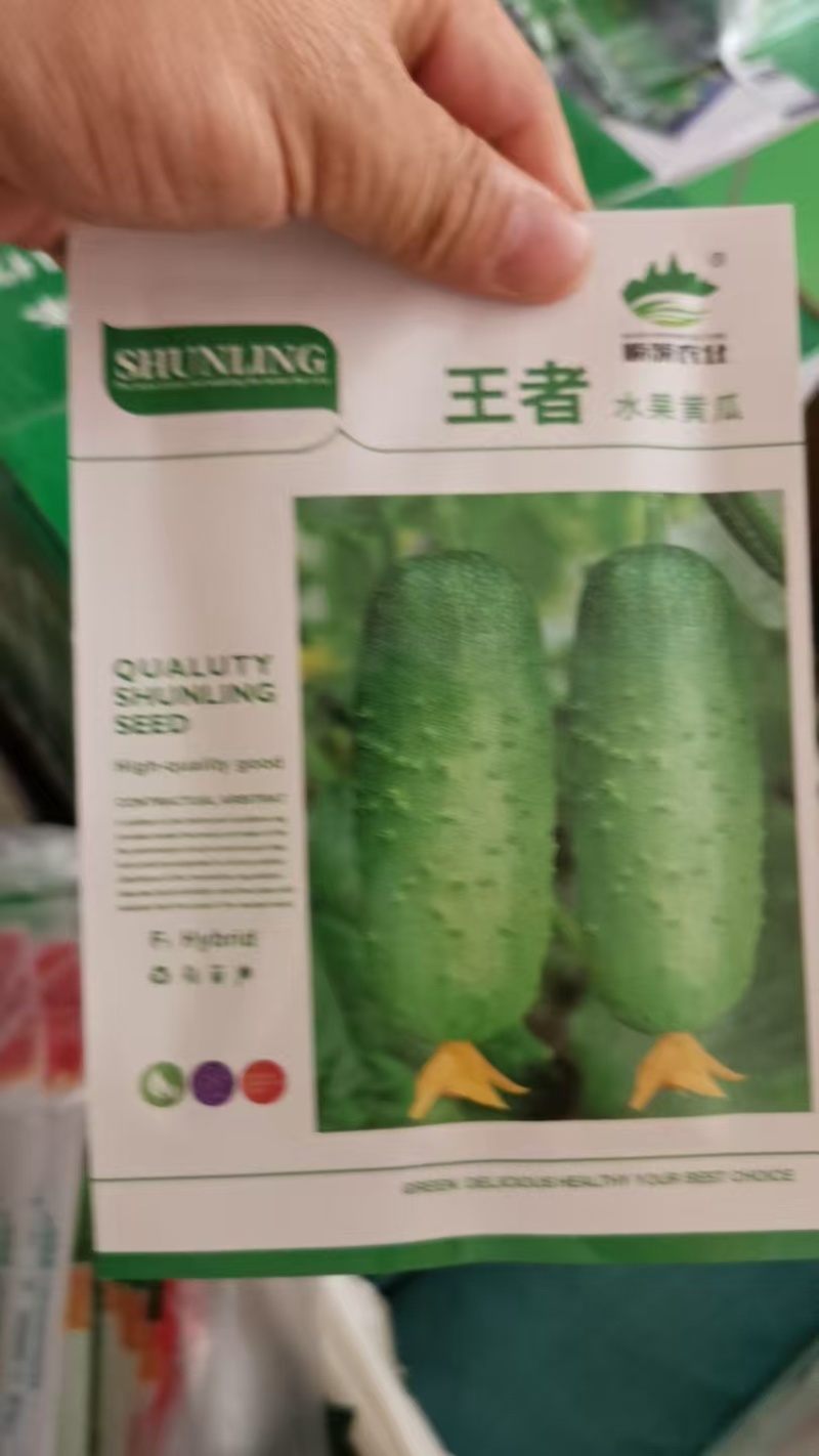 口感型水果黄瓜种子口口脆黄瓜种子嫩绿色节节有瓜无苦味