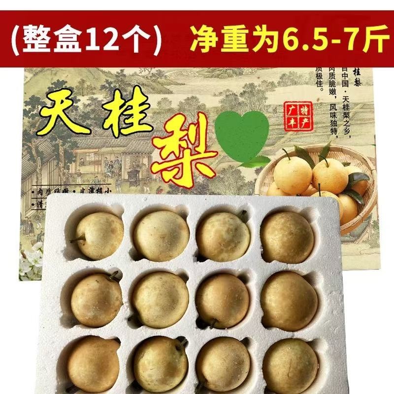 天桂梨