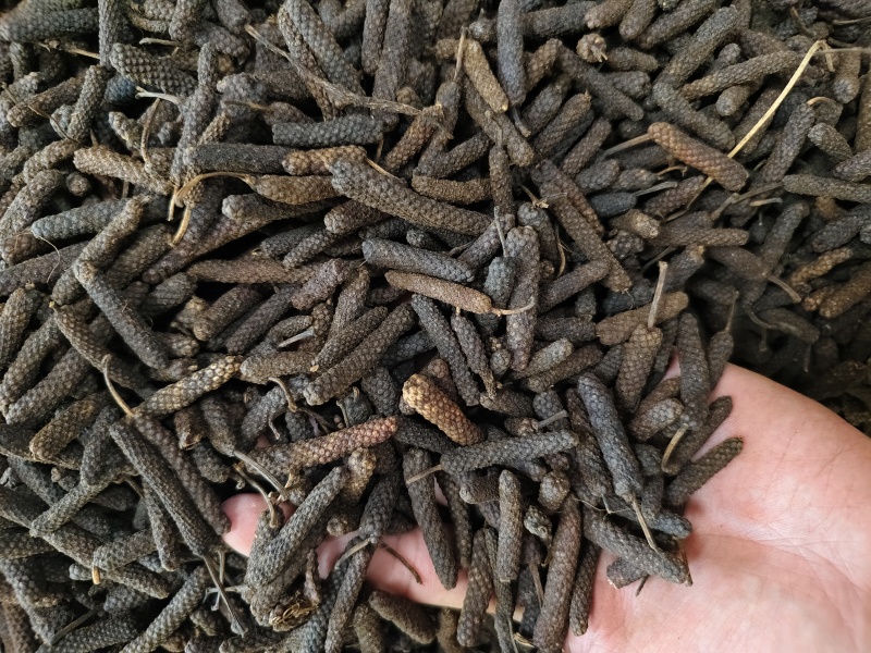 荜拨精选新货批发零售量大从优