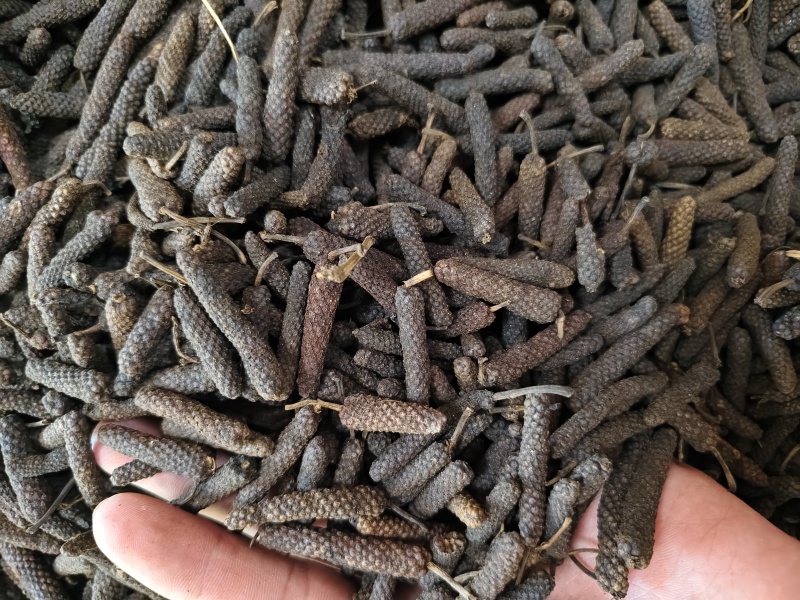 荜拨精选新货批发零售量大从优