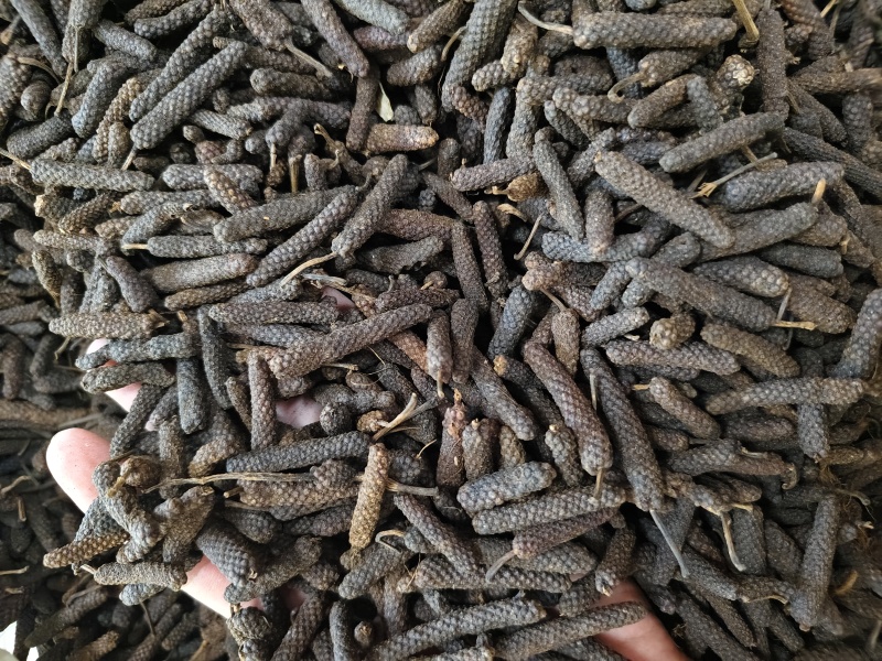 荜拨精选新货批发零售量大从优
