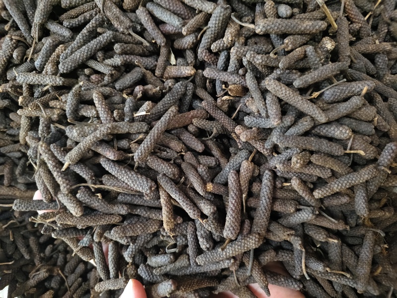 荜拨精选新货批发零售量大从优