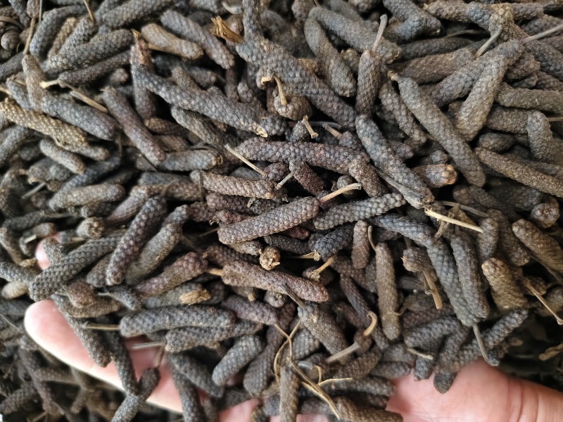 荜拨精选新货批发零售量大从优