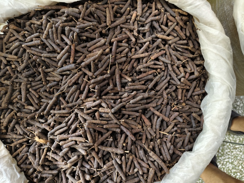 荜拨精选新货批发零售量大从优