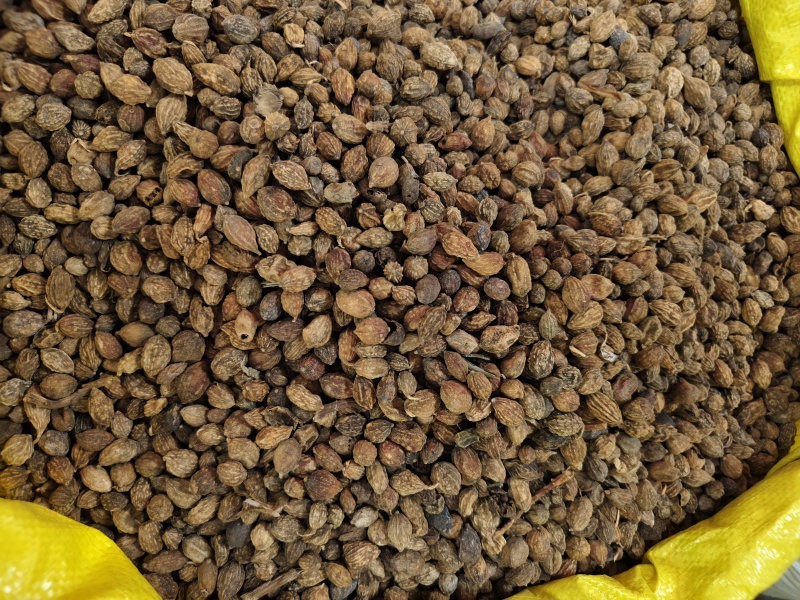 益智仁新货益智仁批发零售量大优惠