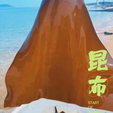 荣成干海带