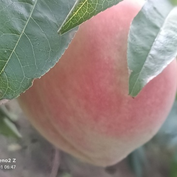 北京14号