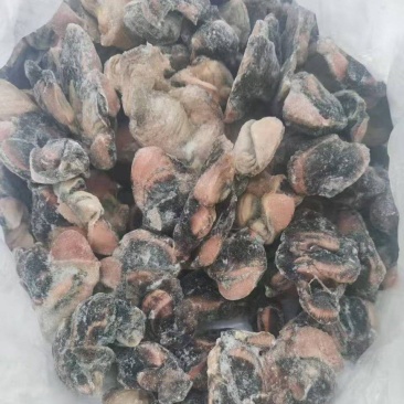 乌鸡胗