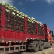 威宁奥奇丽大量上市有需要的联系