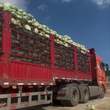 威宁奥奇丽大量上市有需要的联系