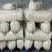 高山白萝卜,产自海拔1800米,精品大量现货量大优惠