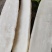 高山白萝卜,产自海拔1800米,精品大量现货量大优惠
