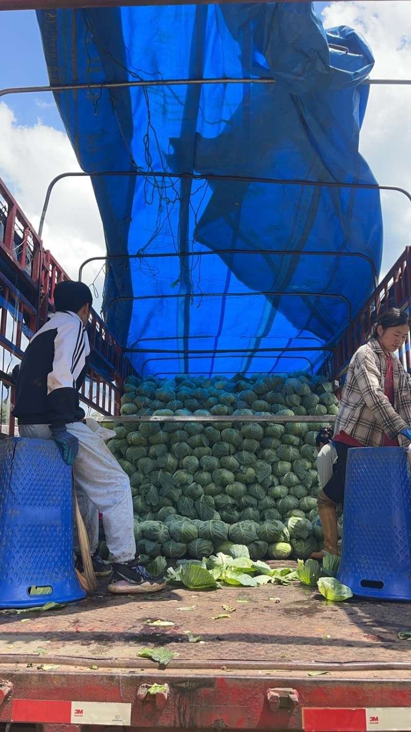威宁奥奇丽大量上市有需要的联系