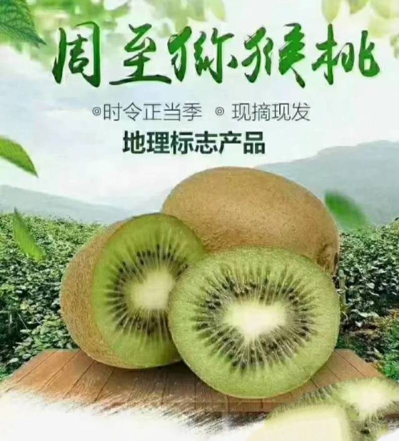 产地直发，可代办，有通过，70克起步，商品果，看园面