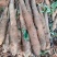 《黑鬼淮山药》广西山药/产地直发/新货上市/全国供应批发