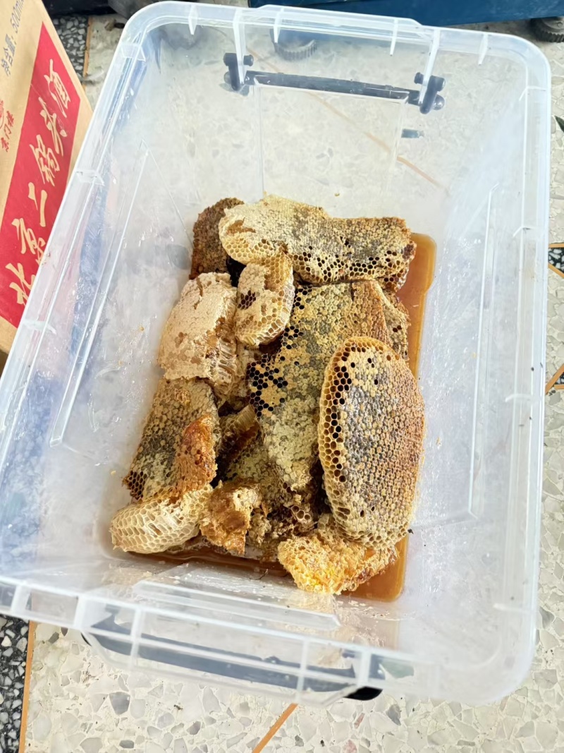 蜂蜜土蜂蜜石头蜜石缝蜜野花蜜