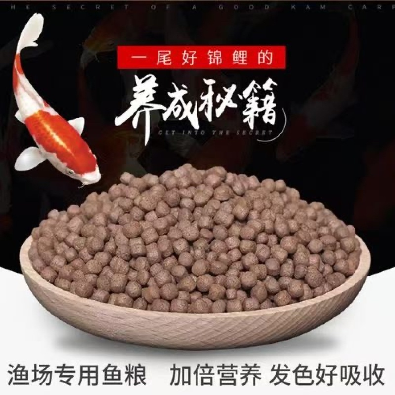 锦鲤鱼饲料增色增肥爆身不浑水观赏鱼通用型