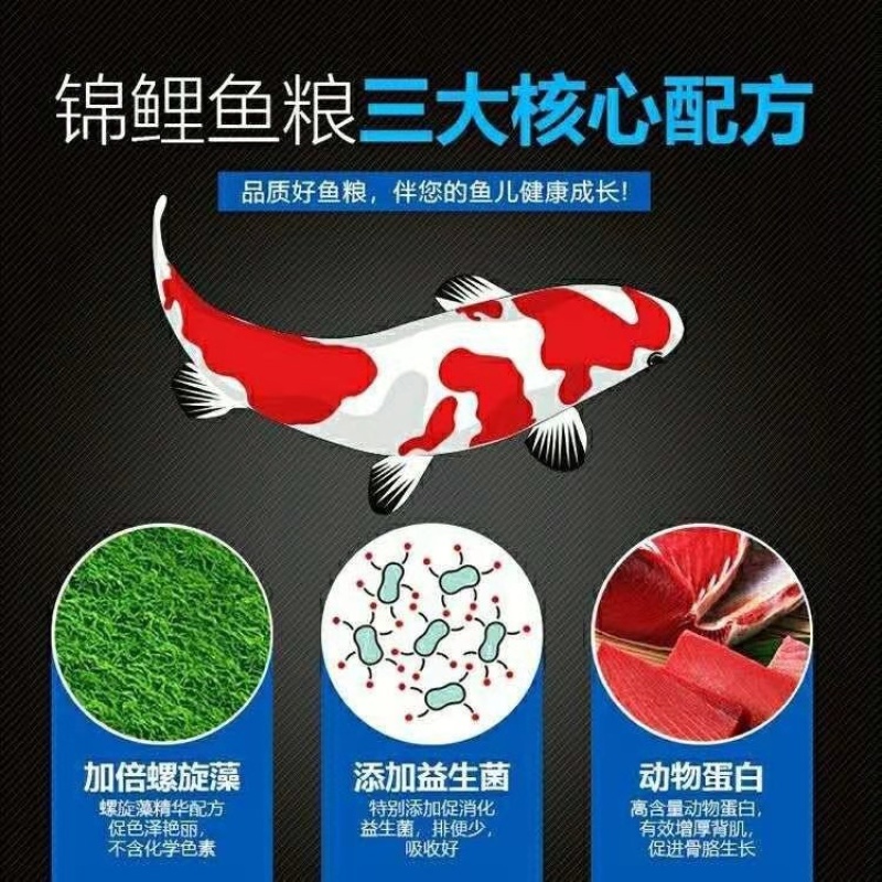 锦鲤鱼饲料增色增肥爆身不浑水观赏鱼通用型
