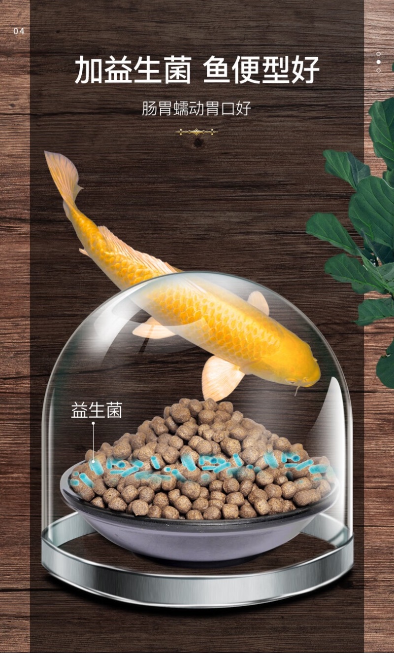 锦鲤鱼饲料增色增肥爆身不浑水观赏鱼通用型
