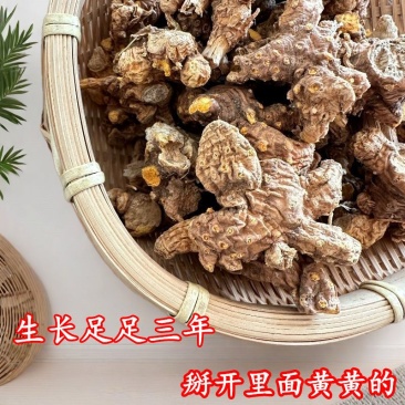 老射干精选正品中药材射干整个射干纯自然射干个子生长三