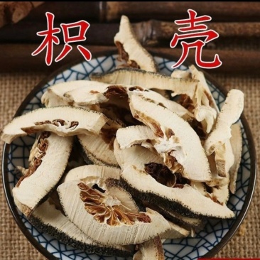 枳壳中药材正品枳壳正宗江西生枳壳野生新货积壳子枳壳批发