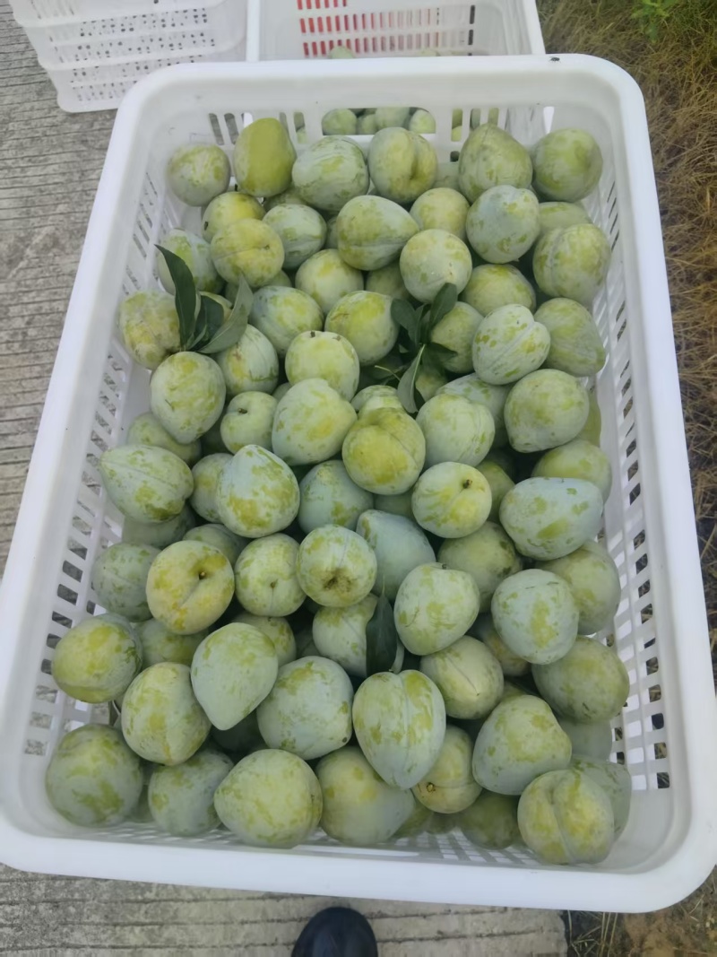 奈李，市场，电商，都可以走货