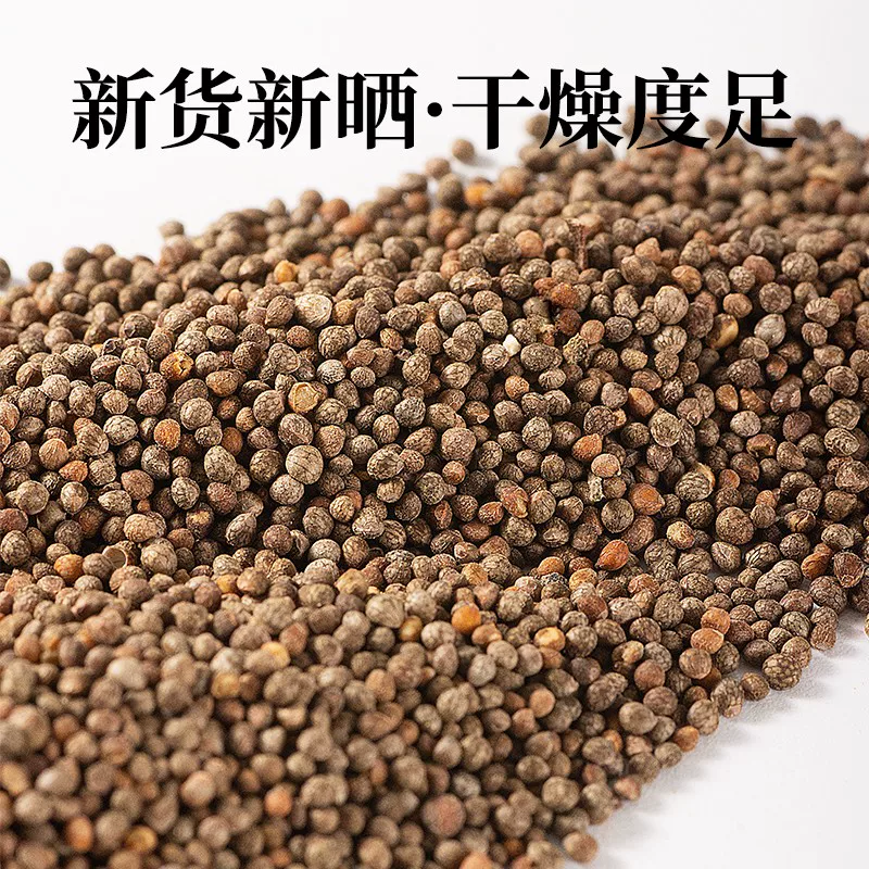 葶苈子批发药厂货各种规格都有欢迎选购中药材各种规格欢迎