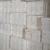 2手泡沫箱每天1000个