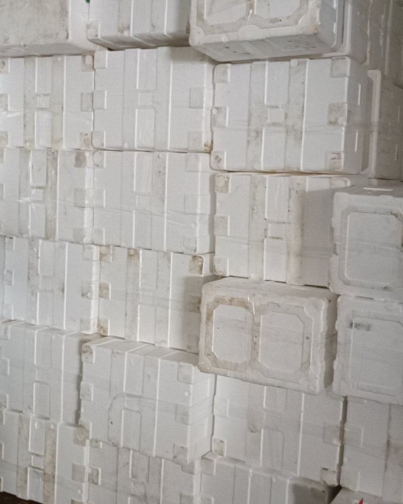 2手泡沫箱每天1000个