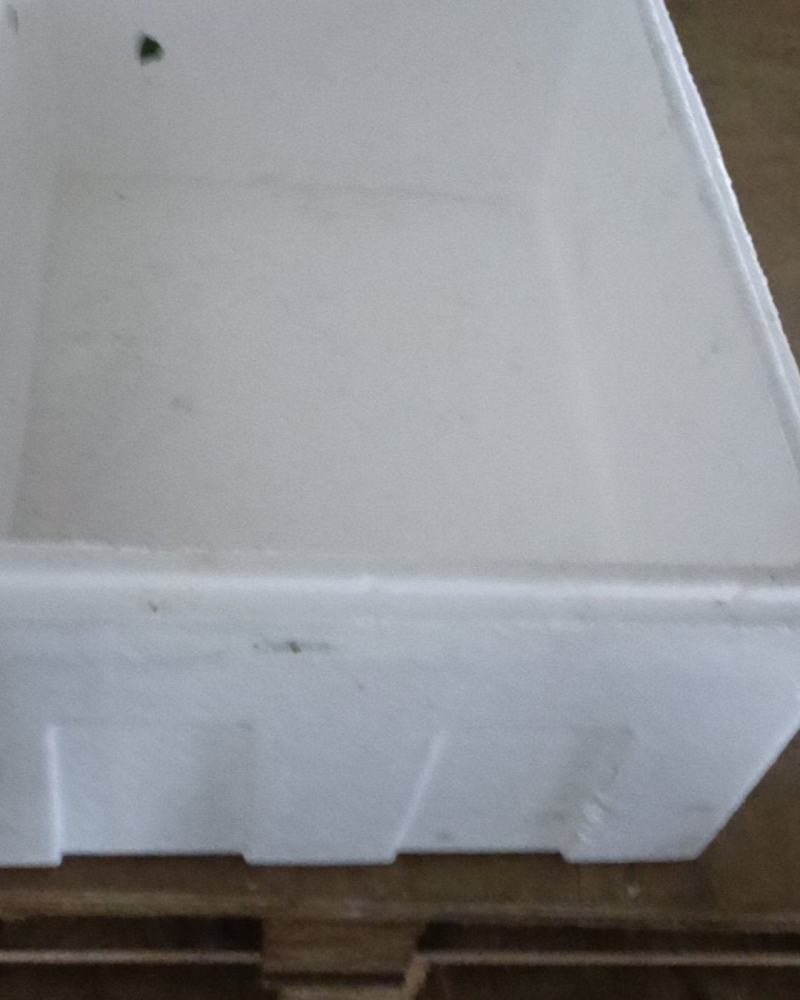 2手泡沫箱每天1000个